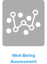 Well-Being Assessment